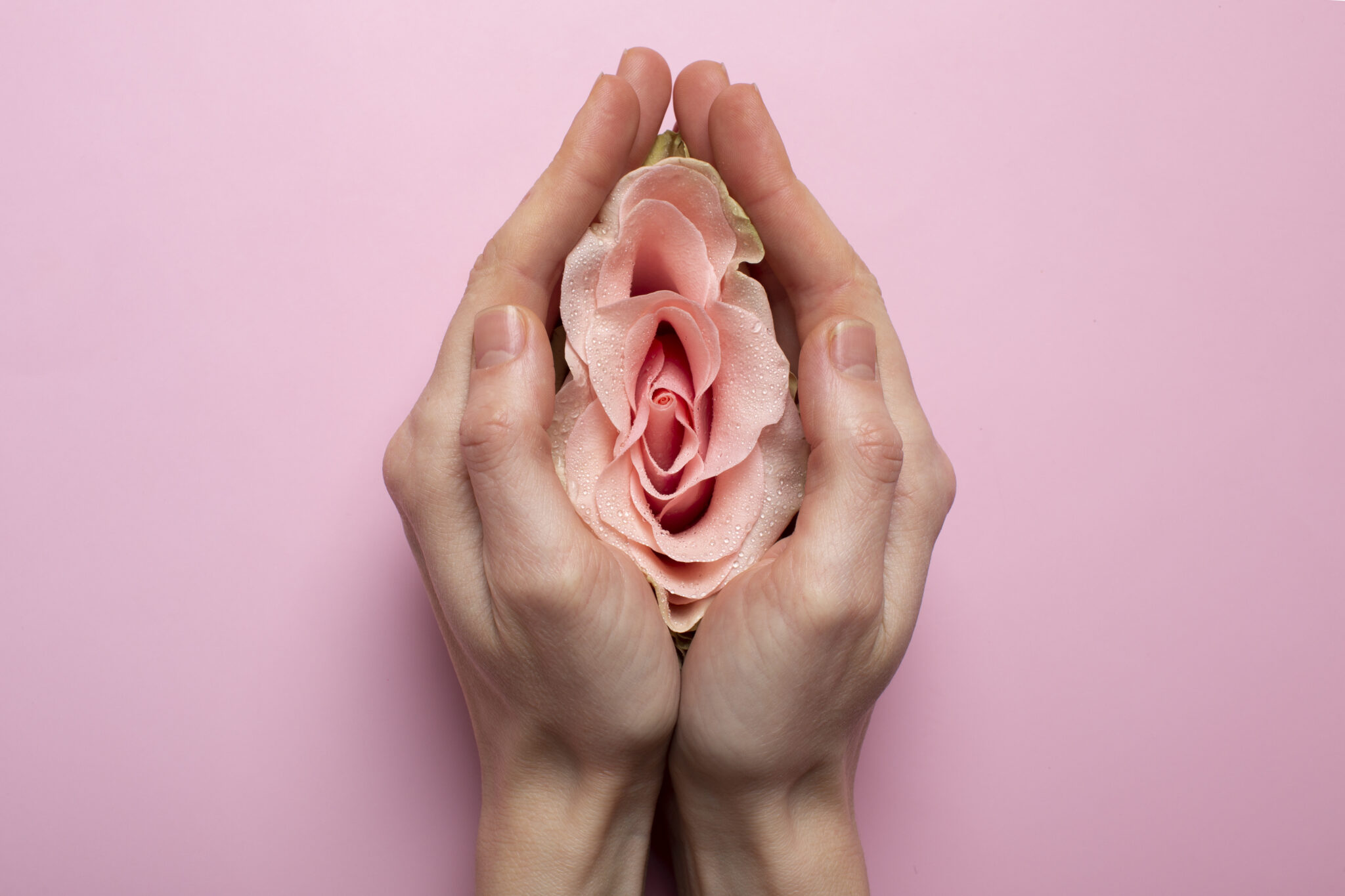 manos con una flor