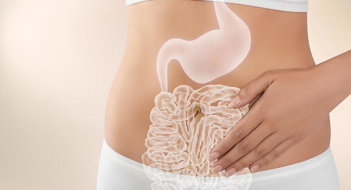 Sistema digestivo en la mujer